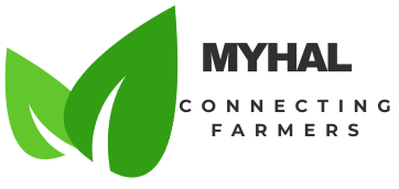 MyHAL Logo