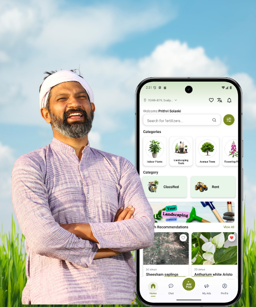 MYHAL promotional mockup
